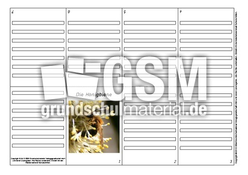 Faltbuch-Honigbiene-2.pdf